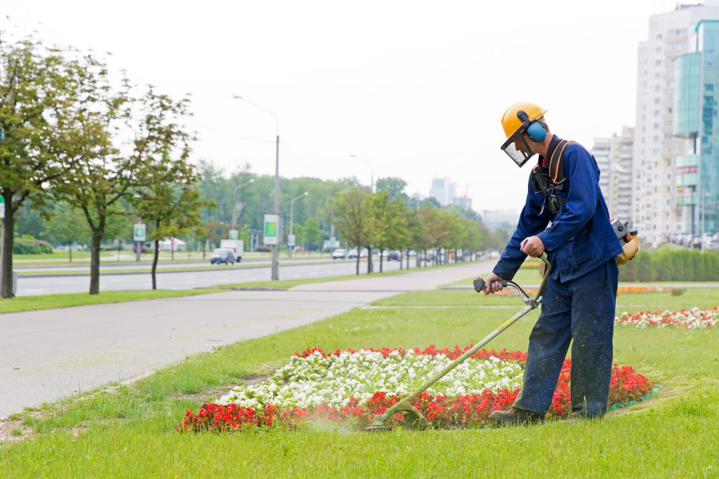 Mantenimiento De Jardines BSR Limpiezas Y Servicios Bizkaia